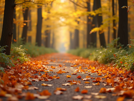 Understanding family mediation